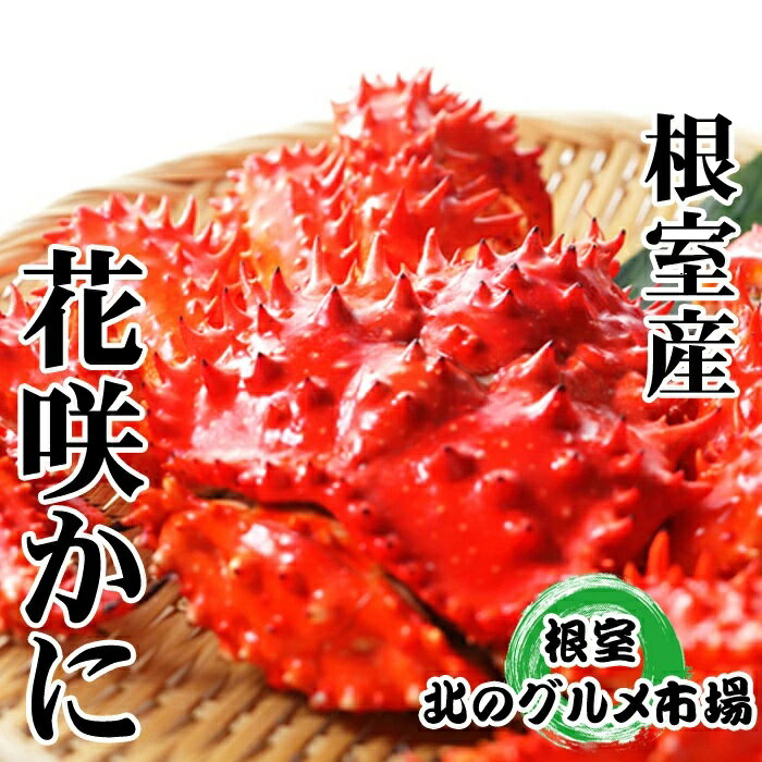 【ふるさと納税】[北海道根室産]花咲かに500g前後〜650g前後×2尾 B-76028