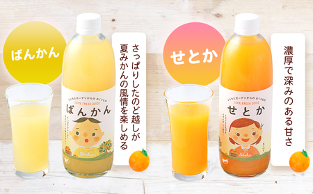 ＜マルワフルーツ柑橘アソート 100％ストレート果汁ジュース 500ml×8本＞ 詰め合わせ セット スイーツ 果物 フルーツ みかん オレンジ 柑橘 清見 でこひめ 河内晩柑 伊予柑 せとか 特産品