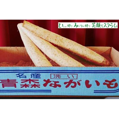 ふるさと納税 三沢市 【JAおいらせ】青森県三沢市産　長いも　5kg |  | 01