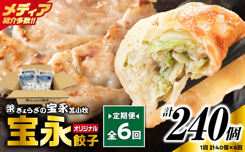 
            【全6回定期便（毎月）】宝永餃子10個入セット（宝永餃子10個入×4袋）合計1.0kg　T004-T03-04
          