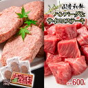 【ふるさと納税】黒毛和牛ハンバーグ＆サイコロステーキ 国産 牛100％ 冷凍 個包装 惣菜 有田牧場 ふるさと納税 ハンバーグ