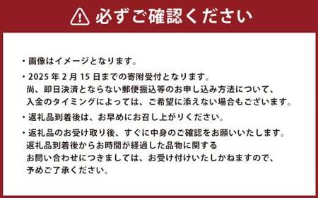 熊本県産 柑橘果物食べ比べセット 4種以上 【2025年1月上旬発送開始】 果物 フルーツ 柑橘 おまかせ 旬 旬のフルーツ