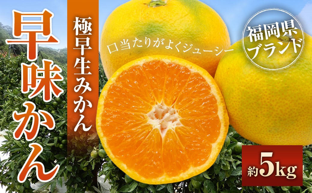 
                  福岡県ブランドみかん「早味かん」5kg みかん ミカン 蜜柑 果物 くだもの フルーツ 福岡県産 【2026年9月下旬-10月下旬発送予定】
                