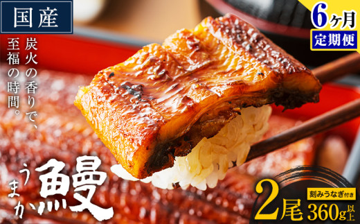 【6ヶ月定期便】国産 うまか鰻 特上サイズ 2尾 計360g以上《お申込み翌月から発送(土日祝除く)》 九州産 たれ さんしょう 付き ウナギ 鰻 unagi 蒲焼 うなぎの蒲焼 惣菜 ひつまぶし きざみうなぎ 特大サイズ 訳あり 定期便 蒲焼き ふるさとのうぜい