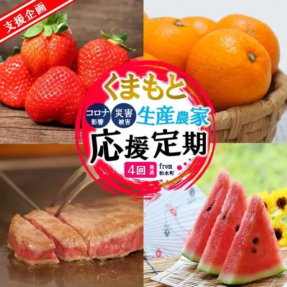 【定期便４回】支援企画！くまもと生産農家応援 定期便 ！ 肉 野菜 フルーツ