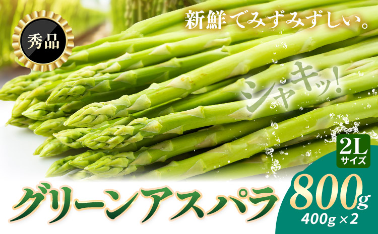 アスパラガス 秀品 アスパラ グリーンアスパラ 2L サイズ 800g (400g×2) 門別町農業協同組合(生活資材課)《4月中旬-5月末頃出荷予定》北海道 日高町 送料無料 春野菜 春 朝採り 朝