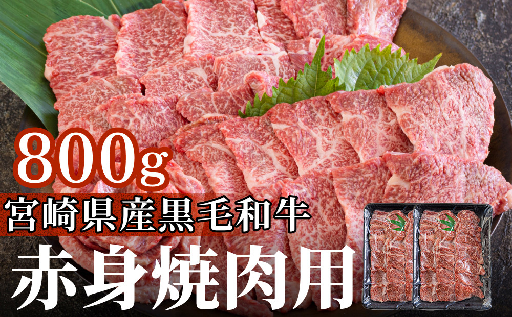 
黒毛和牛 赤身 焼肉 400g×2 計800g [アグリ産業匠泰 宮崎県 美郷町 31be0026] 牛肉 炒め BBQ バーベキュー キャンプ 煮込み 普段使い 調理 おかず 料理 国産 送料無料 パック ビビンバ ハッシュドビーフ 焼き サラダ 青椒肉絲 チンジャオロース
