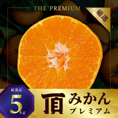 三代目の頂みかんTHEプレミアム【小玉サイズ】5kg【C31-19】