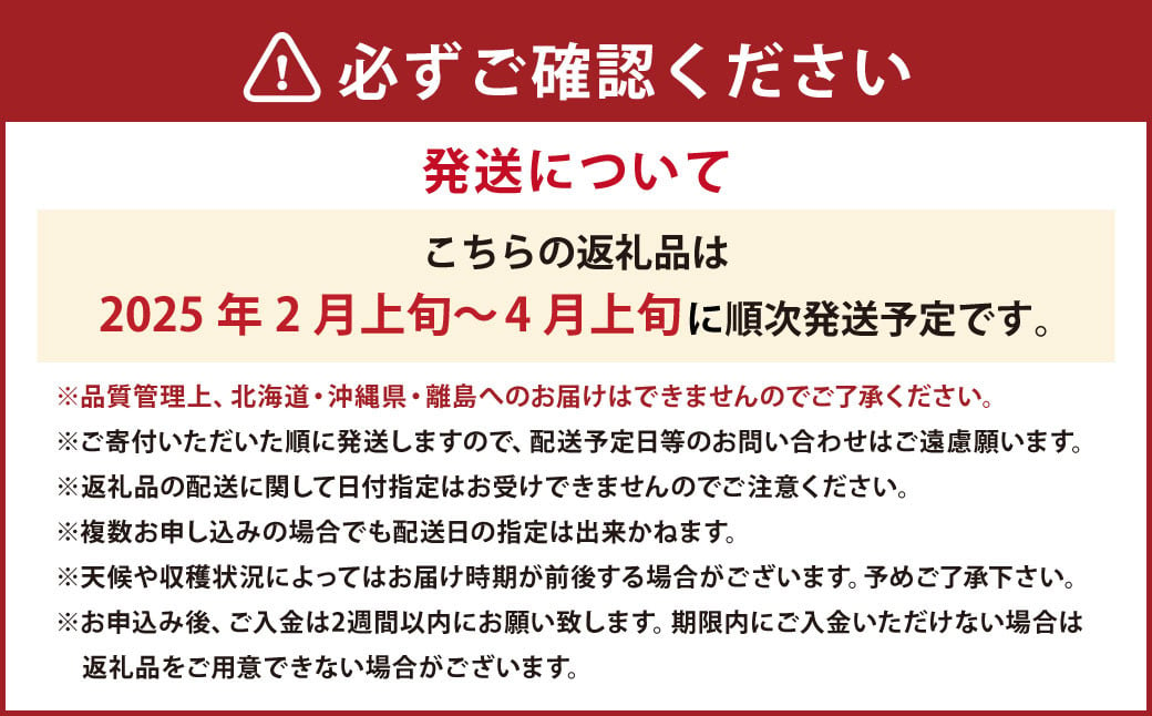 あまおうボリュームセット 6パック 計約1500～1620g あまおう いちご イチゴ 苺 果物 くだもの フルーツ【2025年2月上旬～4月上旬発送予定】