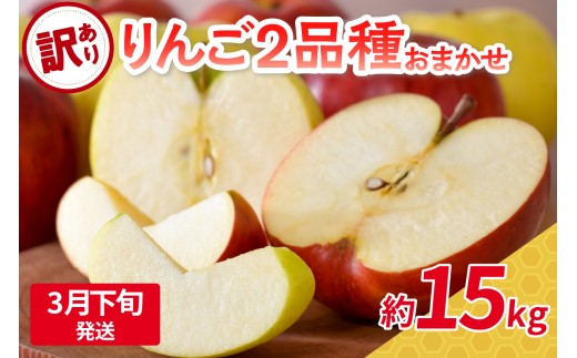 【2026年3月下旬発送】 【訳あり】旬の美味しいりんご 約15kg 青森産 【おまかせ2品種】