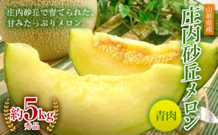 《先行予約 令和7年度産》庄内砂丘メロン青肉 秀品 4玉又は5玉 約5kg FSY-0192
