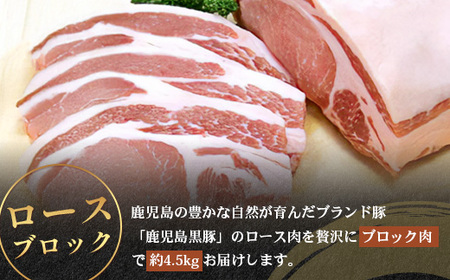 ≪全3回≫【南大隅町限定】食べ応え満点！ ★ かごしま黒豚 ブロック肉 定期便 ★ 鹿児島県産 NS-26 ｜ 肉 豚肉 ぶた 豚 ブタ 黒豚 鹿児島黒豚 ロース ブロック バラ 肩ロース バラブロッ
