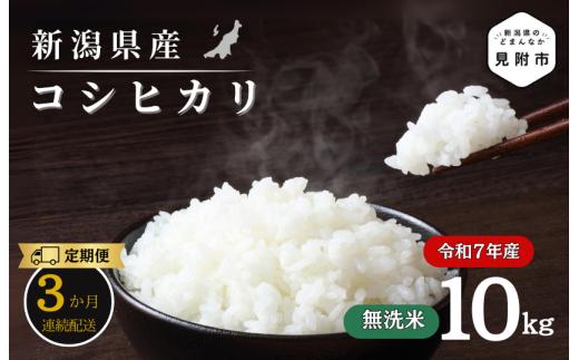 【3か月定期便】R7年産 新潟県産 コシヒカリ 10kg （無洗米））新潟のど真ん中 見附市 こしひかり