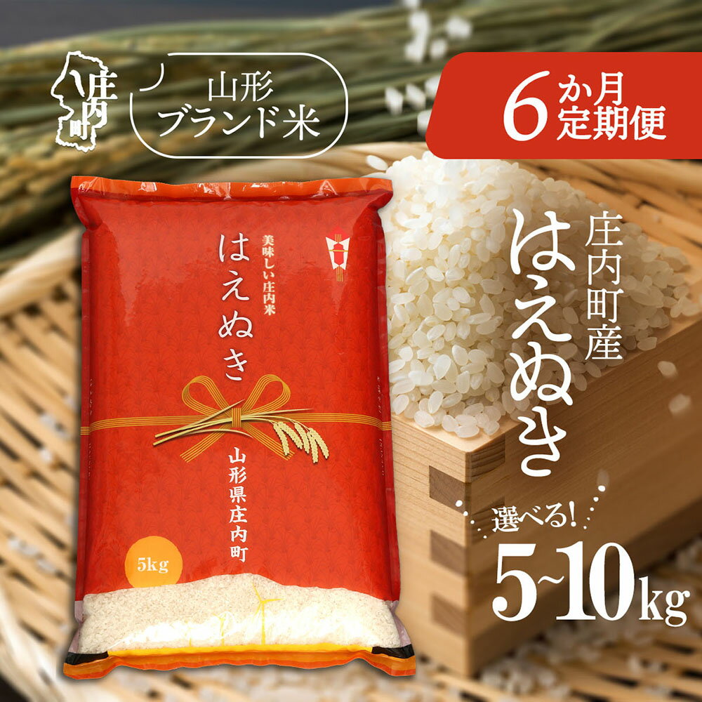 【ふるさと納税】＜毎月中旬発送＞庄内米6か月定期便！はえぬき 選べる配送開始月 内容量 5kg / 6kg / 10kg ブランド米 2025年産 ふるさと納税 米 定期便 定期 山形県