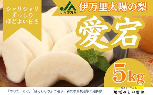 
            【JA伊万里】佐賀・伊万里梨「愛宕」大型種 約5kg
          