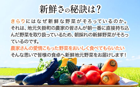 【6ヶ月定期便】旬の新鮮野菜詰め合わせセット 野菜5～10品目入 青空市きらり《お申込み月の翌月から出荷開始》岡山県 矢掛町 野菜 野菜詰め合わせ トマト きゅうり アスパラガス 玉ねぎ リーキ 送料