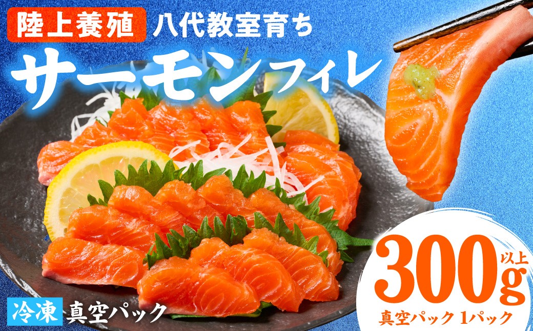 
                  サーモン 八代 教室育ち サーモンフィレ 300g以上 サーモン 刺身 冷凍 サケ 鮭 さけ しゃけ サケ シャケ さーもん 生食 魚 海鮮 熊本県 八代市
                