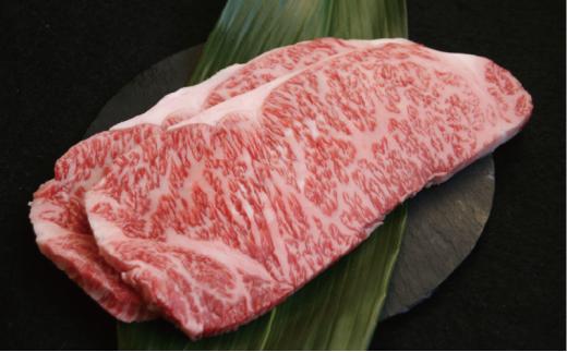 ステーキ サーロイン 250g × 2 計 500g 能登牛 幻の和牛 国産 黒毛和牛 とろける 食感 希少 高級 0.5kg ブランド和牛 牛 うし にく ブランド 地方 ブランド牛 冷凍 肉のいまえだ 石川県 能登 羽咋 災害支援 復興支援 災害復興 能登半島