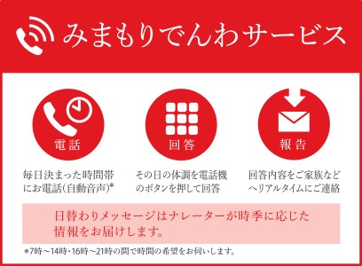 みまもり電話サービス【携帯電話】12か月【日本郵便】 防犯 見守り 郵便局 [TAV006]