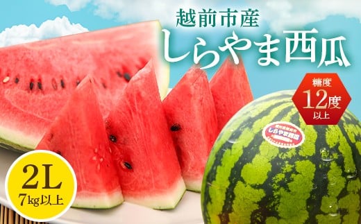 
            〈2025年 先行予約〉【コウノトリが舞う里で栽培される西瓜】しらやま西瓜　2L（7kg以上）1玉　ブランドスイカ　
          