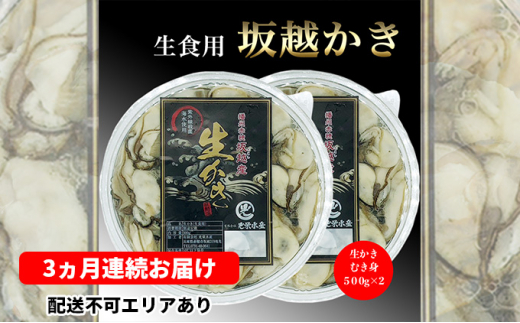 
定期便 牡蠣 坂越かき 剥き牡蠣 500g×2【3ヵ月連続お届け】[ 生牡蠣 かき カキ むき身 剥き身 生食 ]
