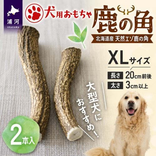 犬用「鹿の角」XLサイズ×2本[53-1636]