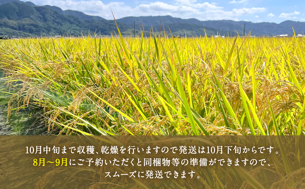 【先行予約】 《令和7年産》 自然栽培米 くらら 精米 5kg （八代産ヒノヒカリ） 【2025年10月下旬より順次発送】