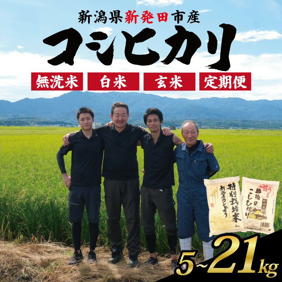 【ふるさと納税】 令和7年産 コシヒカリ 新潟 選べる 単品 定期便 5kg 7kg 10kg 15kg 20kg 21kg 無洗米 白米 玄米 米 こめ 特別栽培米 甘うま越後の こしひかり 新潟県 新潟産 新潟県産 新発田 斗伸 toushin
