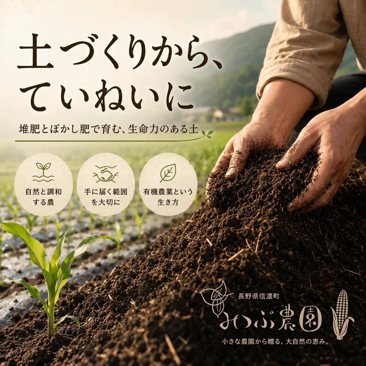 【令８年７月７日迄】朝採れヤングコーン20本｜ひげまで甘い！自然循環農法で育んだ旬を直送