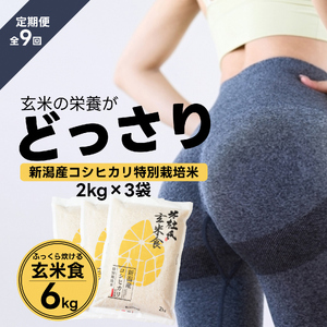 【令和7年産】【9ヶ月定期便】【炊飯器で普通に炊ける玄米】 ふっくら玄米食 6kg（2kg×3）×9回 新潟県阿賀野市産 米杜氏 壱成 特別栽培コシヒカリ 1H34199