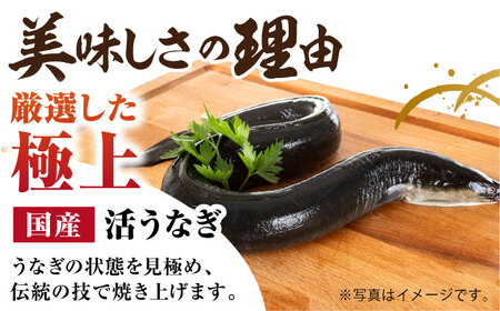 【全3回定期便】 極上 特大 うなぎ セット ( 3尾 ・タレ付き)【森うなぎ屋】[NAK016]   うなぎ 鰻 ウナギ 極上のうなぎ 鰻 ウナギ 炭火焼うなぎ 鰻 ウナギ 炭火焼きうなぎ 鰻 ウナ