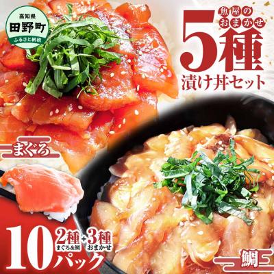 ふるさと納税 田野町 これが魚屋の漬け丼だ!魚屋のおまかせ5種漬け丼セット(鮪+鯛+おまかせ3種) 5種×2P(80g)