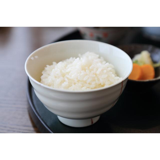 ふるさと納税 沼田市 【5kg】天狗印厳選米「コシヒカリ100」令和6年産 |  | 02