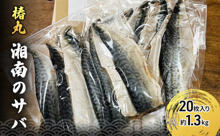 サバ湘南のサバのフィレ相模湾国産サバ【20枚入り約1.3kg】【冷凍】