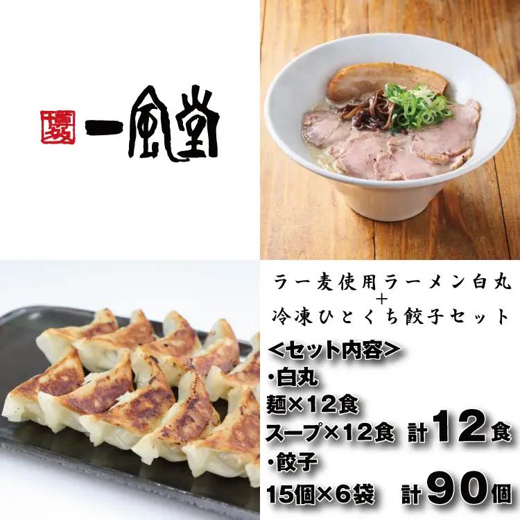 AG176.【一風堂】白丸ラー麦麺12食とひとくち餃子6袋セット【豚骨ラーメン】