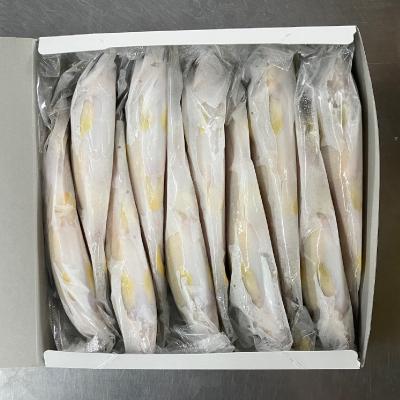 ふるさと納税 輪之内町 岐阜の鮎　冷凍子持鮎(約1kg:10〜13尾) |  | 01