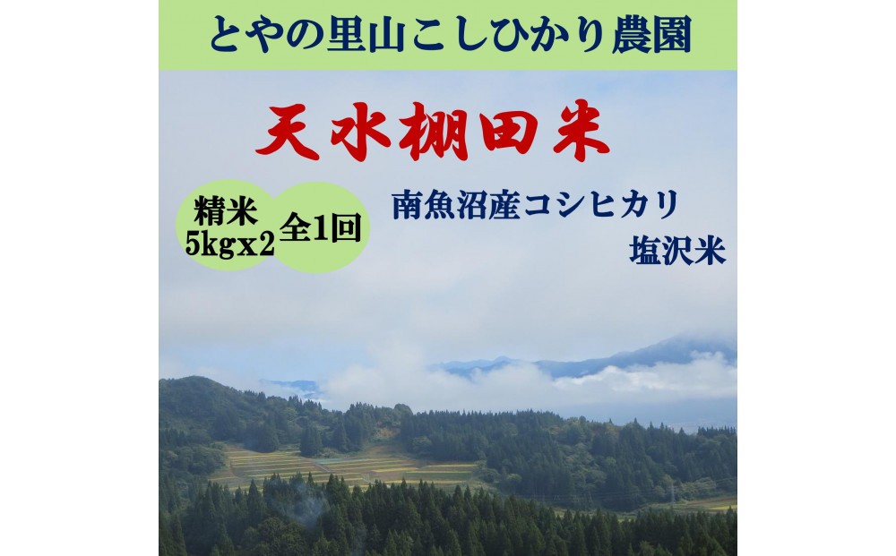 
                  令和8年産新米予約【天水棚田米】特別栽培米雪蔵熟成塩沢産コシヒカリ精米10kg1回「とやの里山継承プロジェクト」【銘柄米 精米 こしひかり コシヒカリ 魚沼産 新潟米 お米 米 こめ】【2026年10月下旬より順次発送予定】
                