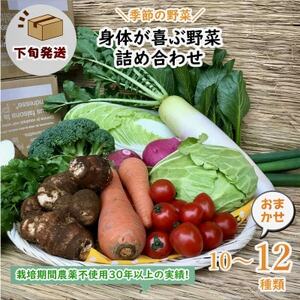 【発送月固定定期便】『身体が喜ぶ野菜』詰め合わせ(おまかせ10～12品)下旬発送全10回【配送不可地域：離島】【4053652】