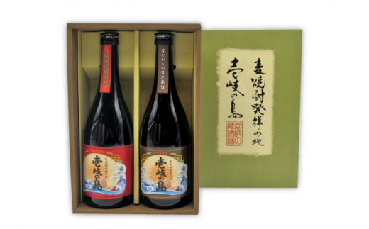 麦焼酎 お酒 飲み比べ 壱岐の島 伝匠 壱岐の島 25度 720ml 2本セット 《壱岐市》【天下御免】[JDB055] 麦焼酎 むぎ焼酎 お酒 飲み比べ 11000 11000円