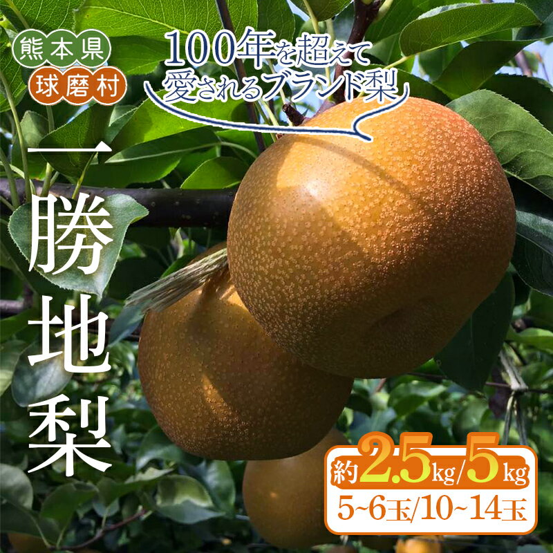 【ふるさと納税】＼選べる容量／《先行予約》一勝地梨 豊水・秋月・新興 約2.5kg（5～6玉）or 約5kg（10～14玉）ナシ なし 梨 和梨 和なし 和ナシ ブランド梨 果物 フルーツ 先行受付 熊本県 球磨村 FKP9-684var