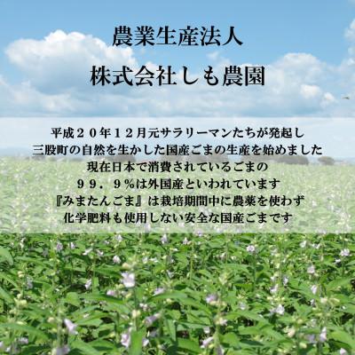 ふるさと納税 三股町 みまたんごま御満悦セット(6種)【B-1402】 |  | 03