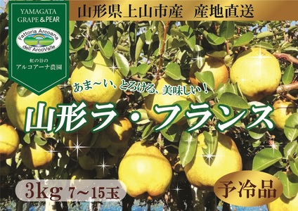 山形ラ・フランス　３ｋｇ　ご家庭用　0148-2616