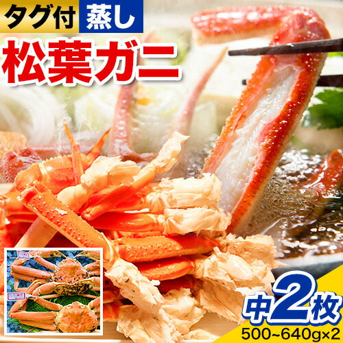 【ふるさと納税】【蒸し】タグ付き松葉ガニ 中2枚(1枚500～640g) 高間商店《11月中旬-3月下旬頃出荷》鳥取県 八頭町 送料無料 カニ 蟹 松葉ガニ タグ付き ブランド