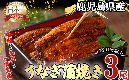 【二の丑(7/31)までに配送】桜林養鰻のうなぎ蒲焼 計333g以上(111g以上×3尾) b0-175-us2