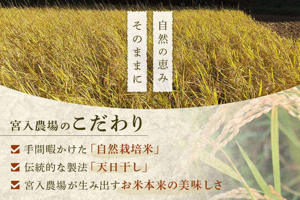 〈先行予約 令和8年産 新米〉自然栽培米「ササニシキ」玄米10kg 天日干し 農薬・肥料不使用