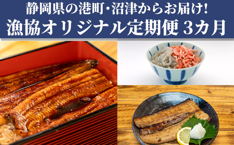 
【価格改定予定】【 3カ月定期 】オリジナル セット 3種 太刀魚 醤油干し 桜えび しらす うなぎ 蒲焼 漁業協同組合 冷凍 静岡
