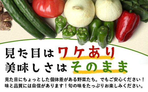 【規格外】本土最南端から 旬のおまかせ野菜セットA 10品目以上 NI-3 ｜ 旬 野菜 やさい 果物 くだもの 産地直送 農産物 冷蔵 鹿児島県 南大隅町産 詰合せ おまかせ 家庭用 訳あり なんた