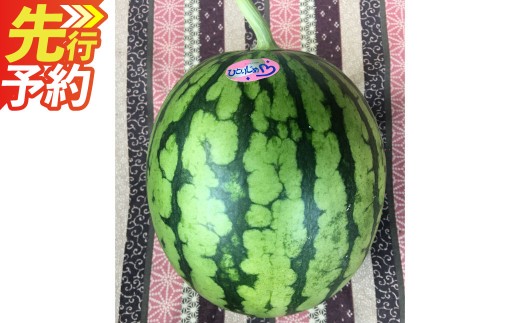 ＜ R8年熊本地震復興支援 ＞熊本特産！小玉スイカ 2玉入り すいか スイカ 西瓜 果物 フルーツ 【2027年6月発送予定】