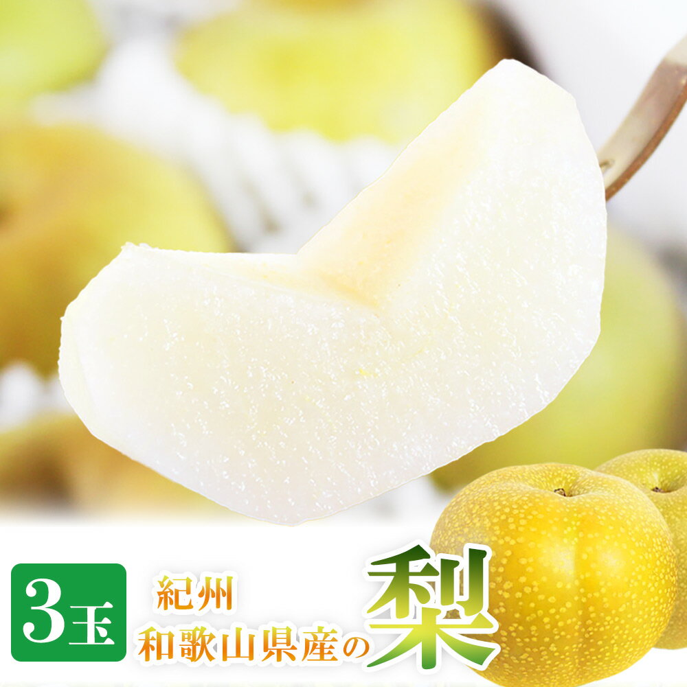 【ふるさと納税】 紀州和歌山産の梨 3玉 化粧箱入 ※2026年8月中旬頃～2026年9月上旬頃に順次発送 ※日付指定不可 梨 なし ナシ 果物 くだもの フルーツ 甘い