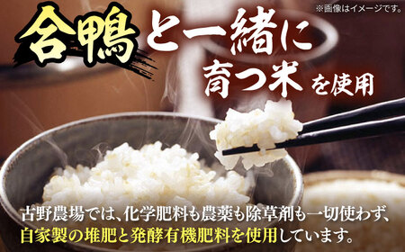 合鴨家族 古野農場 純米酢 300ml×12本セット 合鴨家族 古野農場/桂川町 [ADAL015] 酢 純米酢 米 米酢 
